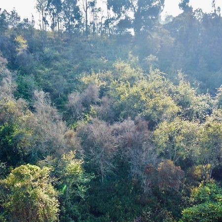 La Flora Tamilnadu - Kodaikanal Esterno foto